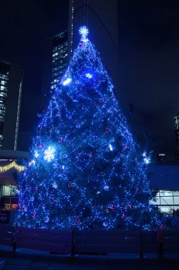 Toronto, ON, Kanada - 6 Aralık 2025: Bir Noel ağacı şehir meydanını mavi ışıklar ve süslemelerle aydınlatacak ve bayram atmosferi yaratacak..