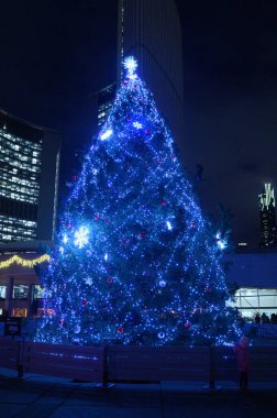 Toronto, ON, Kanada - 6 Aralık 2025: Bir Noel ağacı şehir meydanını mavi ışıklar ve süslemelerle aydınlatacak ve bayram atmosferi yaratacak..