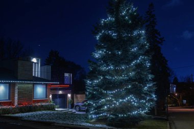 Toronto House Noel Işıklarıyla Aydınlandı