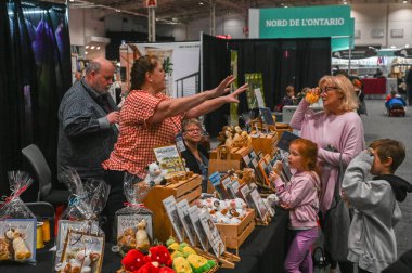 Toronto, ON, Kanada - 14 Kasım 2025: İnsanlar büyük bir fuar salonundaki sergi kabininde bir satıcı, kitaplar ve pelüş oyuncaklarla meşgul oluyor
