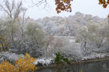 Toronto, ON, Kanada - 9 Kasım 2025: Toronto 'da bir nehir boyunca ağaçları ve zemini kaplayan erken kış karı, mevsimsel güzel bir geçiş yarattı