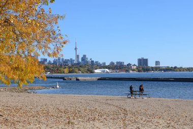 Toronto, ON, Kanada - 10 Ekim 2025: Toronto City Skyline, CN Tower ile Ontario Gölü 'ndeki kumlu bir plajdan görülebilen iki yetişkinin piknik masasında dinlendiği yer.