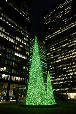 Toronto, ON, Kanada - 20 Aralık 2025: Toronto 'nun finans bölgesinde bir meydanı aydınlatan parlak yeşil Noel ağaçları, geceleri yüksek ofis binalarıyla çevrili