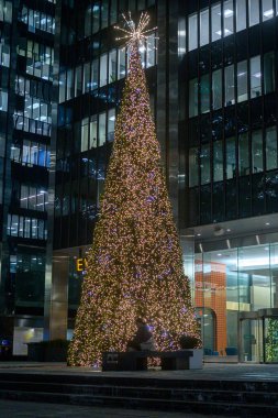 Toronto, ON, Kanada - 20 Aralık 2025: Toronto şehir merkezindeki modern bir ofis binasını aydınlatan canlı bir Noel ağacı,