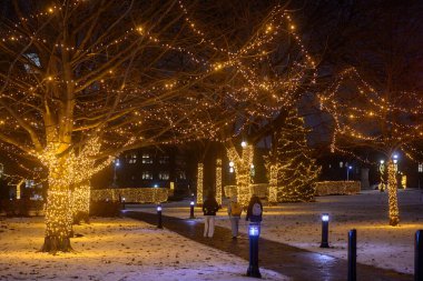 Toronto, ON, Kanada - 19 Aralık 2025: Karlı bir yolda yürüyen insanlar, Ontario Yasama Meclisi 'nde ağaçları aydınlatan gece ışıklarının keyfini çıkarıyorlar.