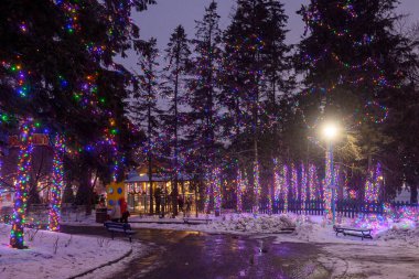 Toronto, ON, Kanada - 31 Aralık 2025: İnsanlar açık hava kış festivalinin tadını çıkarırken, karla kaplı ağaçlar renkli sicim ışıklarıyla süsleniyor
