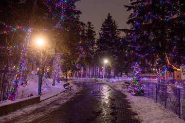 Toronto, ON, Kanada - 31 Aralık 2025: Ağaçları ve bankları kaplayan parlak sicim lambaları ile park yolu, kış gecelerinde şenlikli bir sahne yaratıyor