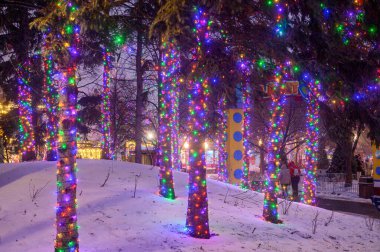 Toronto, ON, Kanada - 31 Aralık 2025: Canlı Noel ışıklarına sarılmış lunapark ağaçları, yerde karlı kış harikalar diyarı manzarası yaratıyor.