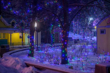 Toronto, ON, Kanada - 31 Aralık 2025: Kanada 'nın Harikalar Diyarı' ndaki Kış Festivali için renkli tatil ışıklarıyla kaplı ağaçlar ve çalılar, şenlikli bir atmosfer yaratıyor