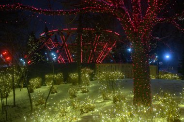 Toronto, ON, Kanada - 31 Aralık 2025 Kış Harikalar Diyarı tema parkı soğuk ve karlı bir gecede canlı kırmızı ve sarı ışıklarla süslenmiş binişler ve ağaçlarla dolu