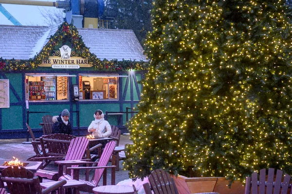 Toronto, ON, Kanada - 31 Aralık 2025: Kanada 'da karlı bir kış festivali sırasında The Winter Hare' de ateş çukurlarında ısınan iki kişi. Işıklarla parıldayan Noel ağacı