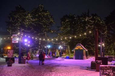 Toronto, ON, Kanada - 31 Aralık 2025: İnsanlar Kış Festivali 'ndeki şenlikli atmosferin tadını çıkarıyorlar, parlayan sicim ışıkları ağaçları süslüyor ve karla kaplı zemin