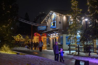 Toronto, ON, Kanada - 31 Aralık 2025: Kanada 'nın Harikalar Diyarı' ndaki kış festivalinde aydınlık dekorasyonların ve gece festival atmosferinin tadını çıkaran konuklar