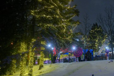 Toronto, ON, Kanada - 31 Aralık 2025: Kış Festivali ağaçları aydınlatıyor ve Kanada 'nın Harikalar Diyarı' ndaki şenlikli kış gecesi süslemeleri