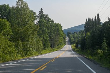 Toronto, ON, Kanada - 10 Ağustos 2025: Yol ormanlık bir alanda uzanıyor; manzaralı bir yol. Seyahat, özgürlük ve macerayı simgeler..