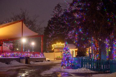 Toronto, ON, Kanada - 31 Aralık 2025: Şiddetli kar yağışı sırasında Kanada 'nın Harikalar Diyarı' ndaki ağaçları ve yapıları aydınlatan Kış Festivali. Noel ışıkları tatil atmosferi yaratıyor