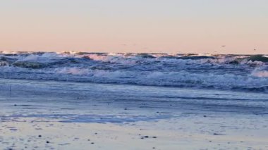 Baltık Denizi 'nin kışın deniz manzarası, fırtınayla sürüklenen dalgalar, kıyıya yakın beyaz köpük ve sakin güneşli hava çarpıcı bir doğal karşıtlık yaratıyor..