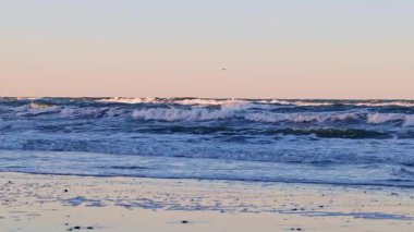 Baltık Denizi 'nin enerji dolu kış dalgaları kıyıya vuruyor, öğleden sonra güneş ışığıyla aydınlanıyor ve yavaş çekimde yakalanıyor..