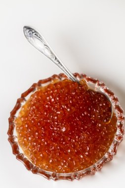 Kızıl somon havyar