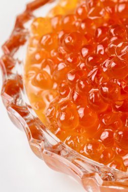 Kızıl somon havyar