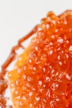 Kızıl somon havyar