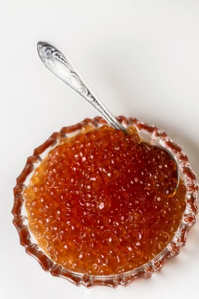 Kızıl somon havyar