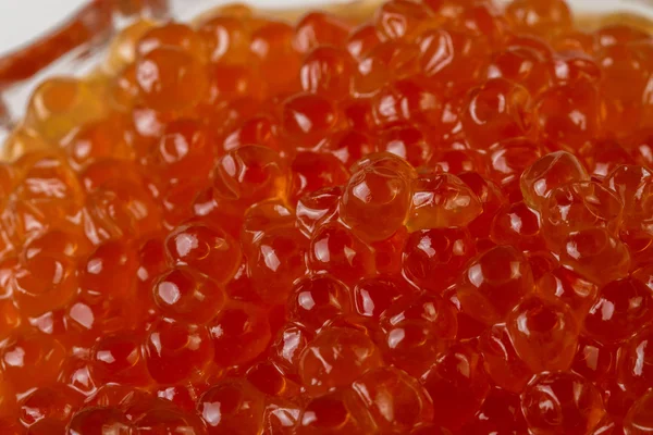 Kızıl somon havyar