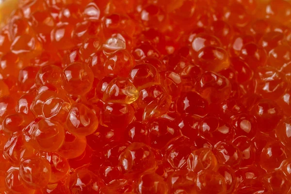 Kızıl somon havyar