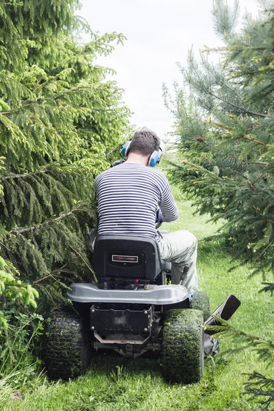 Der Mann mäht ein Gras — Stockfoto