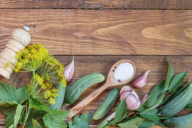 Salatalık, dereotu ve sarımsaklı