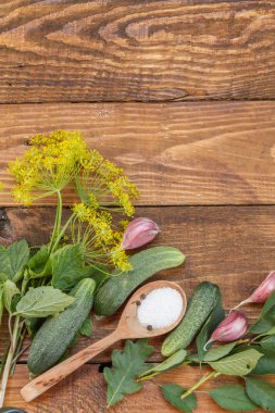 Salatalık, dereotu ve sarımsaklı