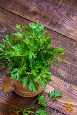 Taze çiftçi maydanoz