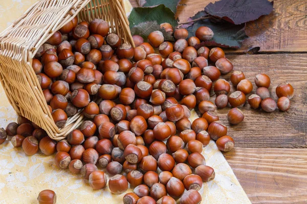 Avellanas en la cesta — Foto de Stock