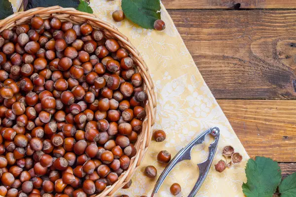 Avellanas en la cesta — Foto de Stock