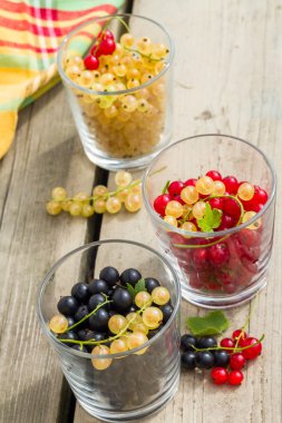 taze Bahçe üzümü