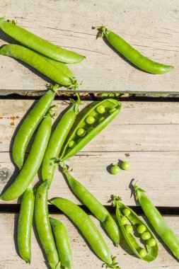 Taze taze bezelyeler