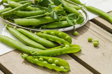 Taze taze bezelyeler