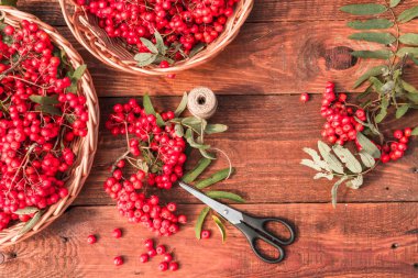 Demet ve üvez meyveleri