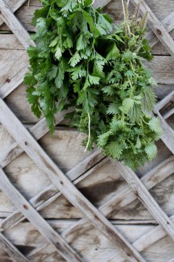 taze otlar ısırgan ve ahşap zemin üzerine maydanoz