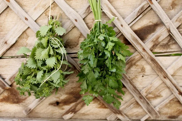 Frische Kräuternessel und Petersilie auf Holzgrund — Stockfoto