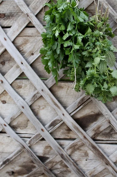 Frische Kräuternessel und Petersilie auf Holzgrund — Stockfoto