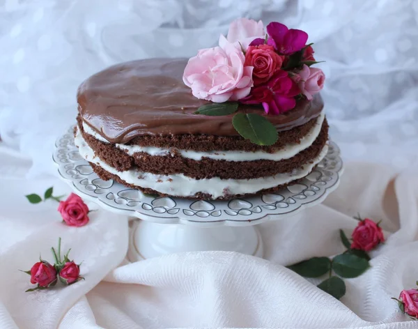 El pastel de Rocacao, Delicioso pastel de chocolate . — Foto de Stock