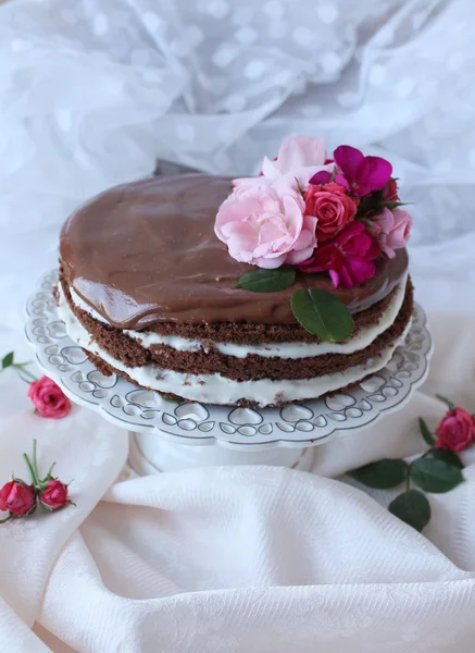 The Rococoa Cake, Delicious chocolate cake. — Stock Photo, Image