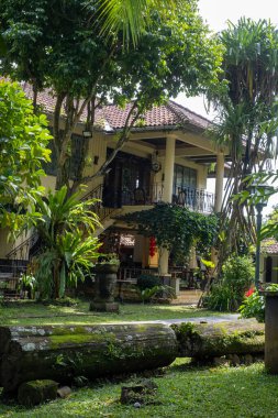 Yoğun bitki örtüsüyle çevrili zarif bir villa. Huzurlarınızda cennet gibi tropik bir konak. Mimari detaylar doğal ortamla uyum içinde harmanlanarak, huzurlu bir kaçış yaratıyor..