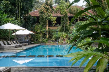 Bu yemyeşil yerde sükuneti keşfet. Turkuaz bir havuz, çevredeki yeşillikleri yansıtır. Huzurlu bir kaçış sunar. Nihai rahatlık ve rahatlama için güneşlik yataklarıyla doludur..