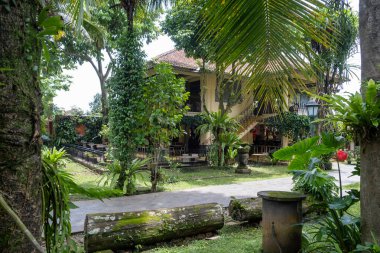 Bu bereketli tropikal ortamda sükuneti deneyimlemek, yeşillik ve yüksek palmiyelerle kaplanmış zarif bir malikaneyi sergilemek, doğal güzelliğin huzurlu bir şekilde geri çekilmesini sağlar. Şatafatlı mimari, çevresindeki manzarayla kusursuz bir şekilde harmanlanır.