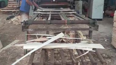 Bitkideki ahşabı işleyip hammaddeyi ince çarşaflara dönüştüren bir işçi. Süreç, kereste üretiminde hayati önem taşıyan makine ve uzmanlığı içeriyor..