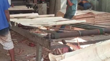 İşçiler kaplama çarşaflarını ustalıkla tutarken karmaşık kontrplak üretim sürecine tanık olun. Her adım kendini adamayı, beceriyi, dayanıklı inşaat malzemeleri yaratmayı yansıtıyor..