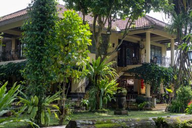 Güzel bir villa yoğun tropikal bitki örtüsünün arasına yerleşmiş, huzur ve ihtişam dolu bir atmosfer yayıyor. Manzara, canlı yeşilliklerle çevrili, davetkar bir açık hava ortamı sunuyor..