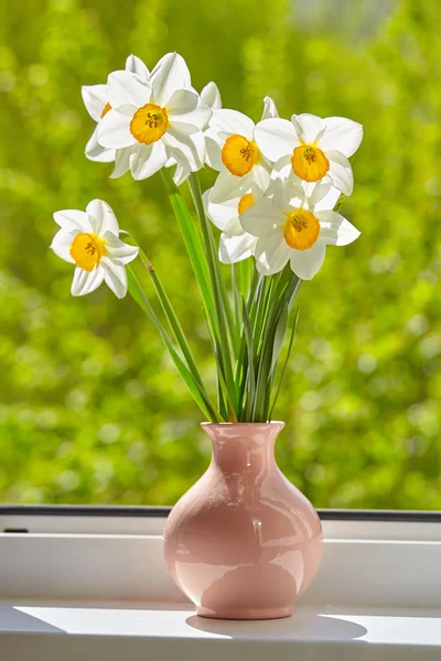 Flowers, daffodils on the window, greens — Stock Photo, Image